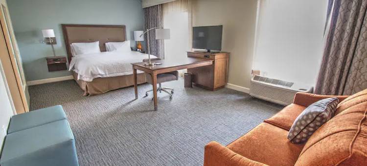 希尔顿欢朋套房酒店-布拉塞尔顿(Hampton Inn & Suites Braselton)图片