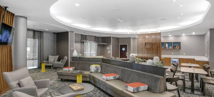 萨克拉门托纳多马斯万豪SpringHill酒店(SpringHill Suites Sacramento Natomas)图片