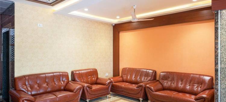 Treebo帝国(Treebo Empire)图片