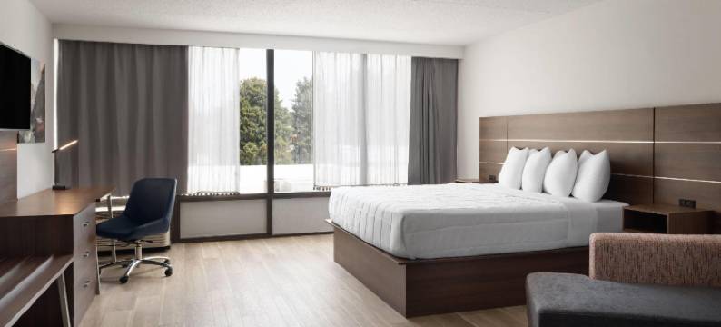 温德姆威廉斯堡I-64戴斯酒店(Baymont by Wyndham Williamsburg I-64)图片