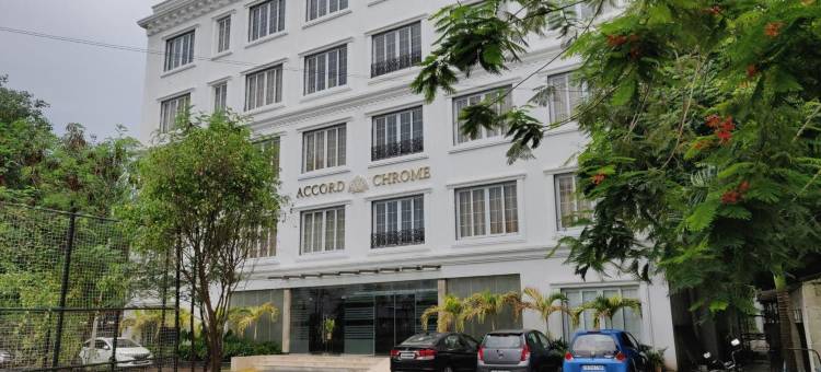 阿科德铬(Accord Chrome)图片