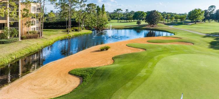 皇家棕榈树万豪酒店(Marriott's Royal Palms)图片
