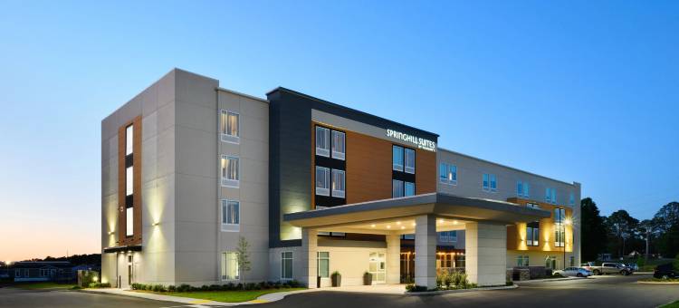 多森春丘旅馆(SpringHill Suites Dothan)图片
