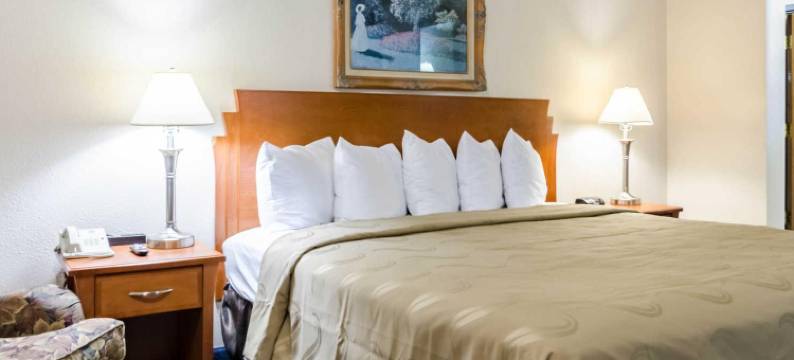 凯艺套房酒店(Wyndham Garden Salina Conference Center)图片