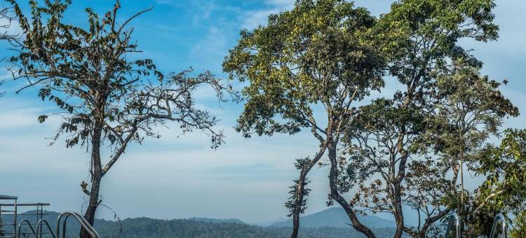 豪猪城堡度假村(The Porcupine Castle Resort)图片