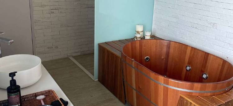 雷克斯菲诺富特酒店(Novotel Recife Marina)图片