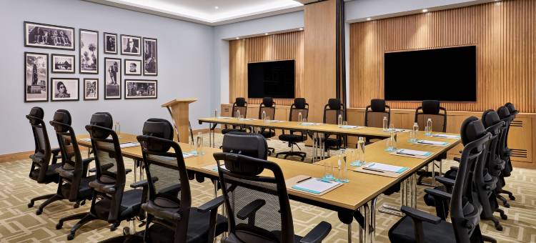 开罗机场艾美酒店(Le Meridien Cairo Airport)图片