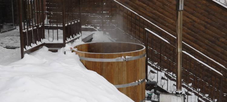 丽高级酒店(Hotel Laguna Lipetsk)图片