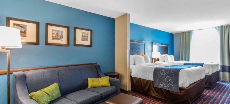 费尔维尤高地舒适套房酒店(Comfort Suites)图片