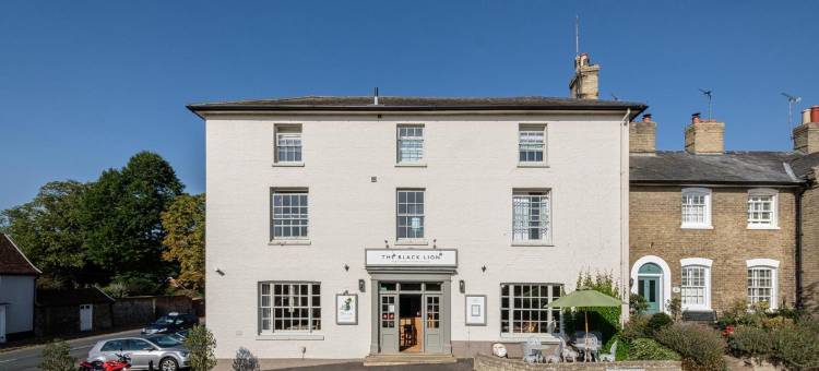 黑狮长梅尔福德酒店(The Black Lion, Long Melford)图片