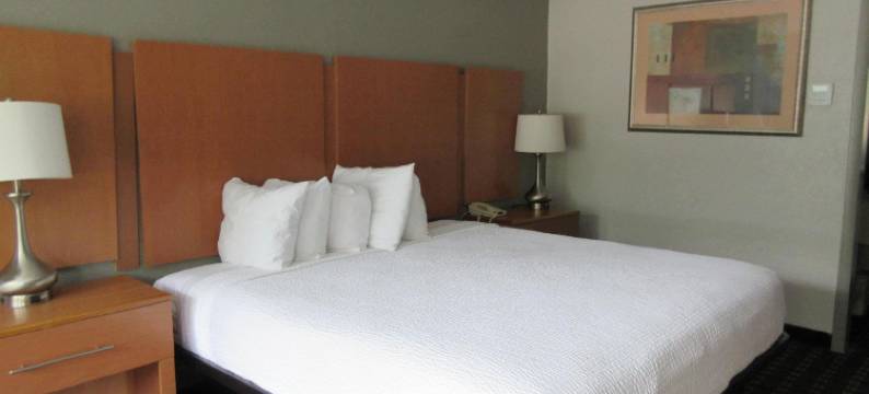 南派恩斯派恩赫斯特温德姆戴斯酒店及会议中心(Days Inn & Conf Center by Wyndham Southern Pines Pinehurst)图片