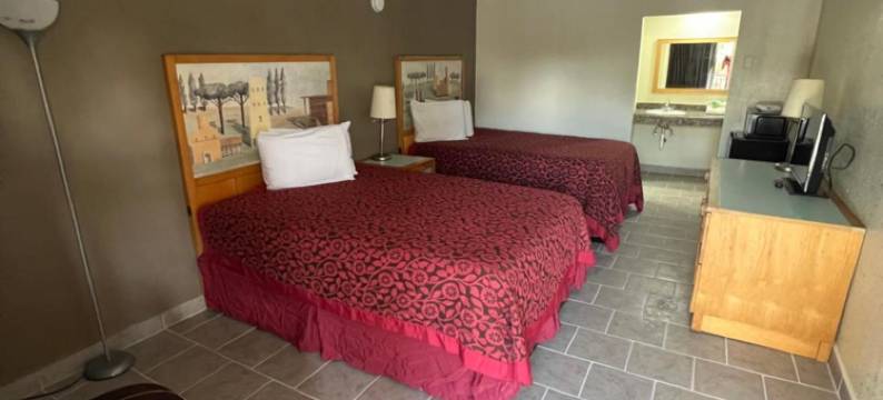 河棕榈酒店(River Palm Hotel)图片