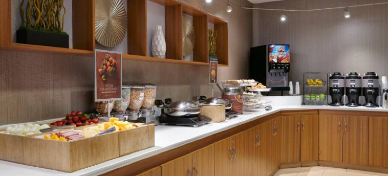 罗穆勒斯底特律都会机场万豪SpringHill酒店(SpringHill Suites Detroit Metro Airport Romulus)图片