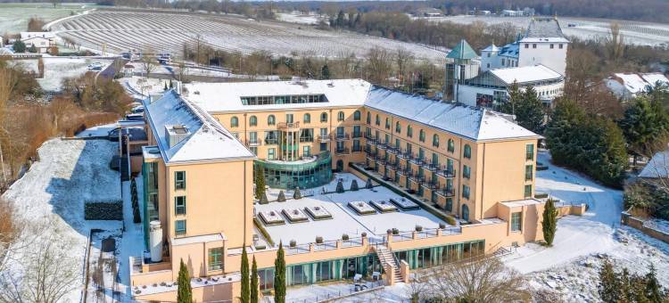 斯加罗斯伯格维克特雷迪斯酒店(Victor's Residenz-Hotel Schloss Berg)图片