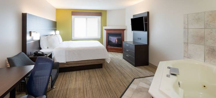 智选假日套房酒店-明尼阿波利斯市区(Holiday Inn Express & Suites Minneapolis-Dwtn (Conv Ctr))图片