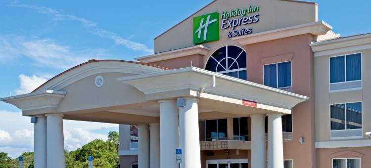 智选假日套房酒店布鲁克斯维尔西(Holiday Inn Express & Suites Brooksville West)图片
