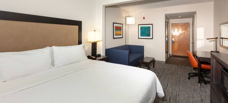 杰克逊维尔机场智选假日套房酒店(Holiday Inn Express & Suites Jacksonville Airport)图片