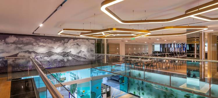 托卢卡加莱里亚斯梅特佩克智选假日酒店(Holiday Inn Express Toluca Galerias Metepec)图片