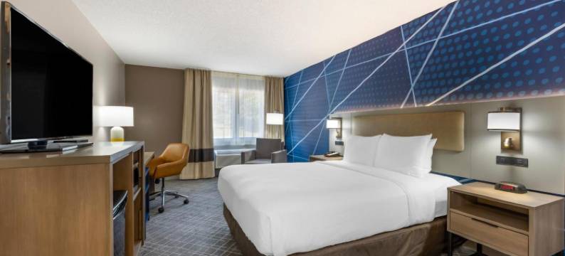 舒适酒店(Comfort Inn Hastings)图片