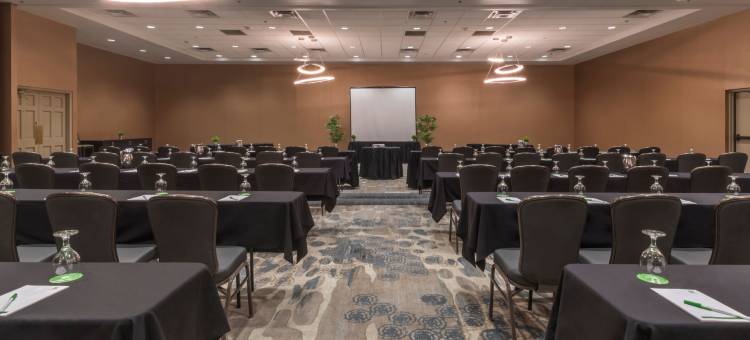 Holiday Inn & Suites 凤凰城机场北(Holiday Inn & Suites Phoenix Airport North)图片