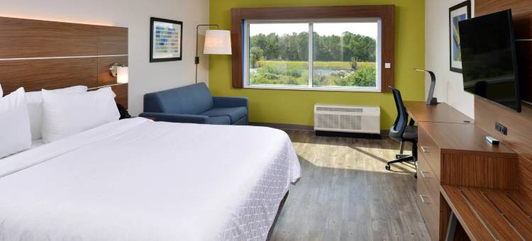 奥兰多南方公园智选假日酒店(Holiday Inn Express Orlando - South Park)图片