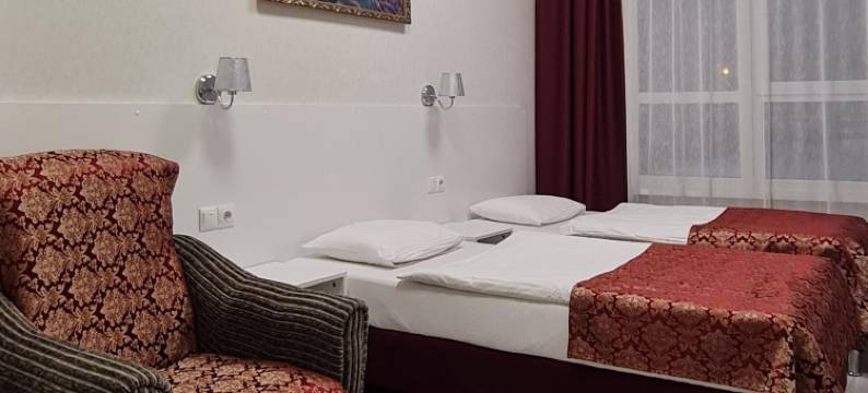 列宾公园旅馆(Repin Hotel)图片