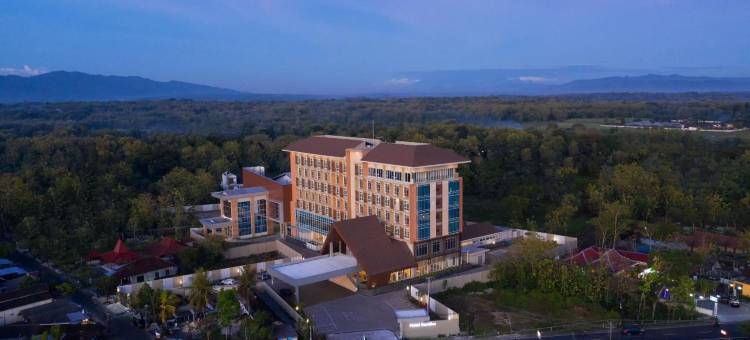 圣蒂卡冈胡清都尔酒店(Hotel Santika Gunungkidul - Jogjakarta  )图片