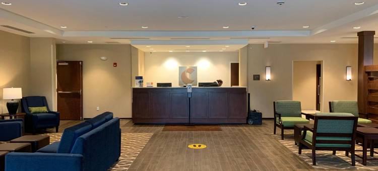 舒适套房酒店(Comfort Inn & Suites)图片