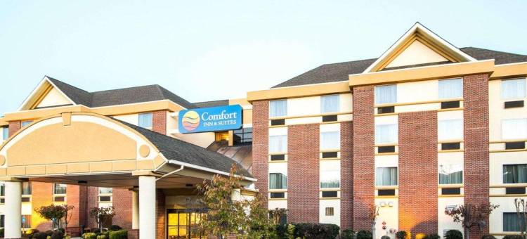 萨沃尼舒适套房酒店-秀格尔洛弗(Comfort Inn & Suites Suwanee - Sugarloaf)图片