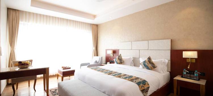 索姆纳斯广场酒店(The Square Somnath)图片