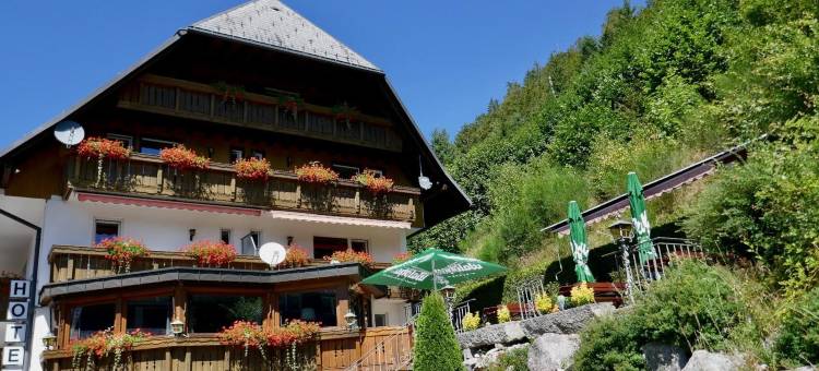 锡尔贝费尔森酒店(Hotel Silberfelsen)图片