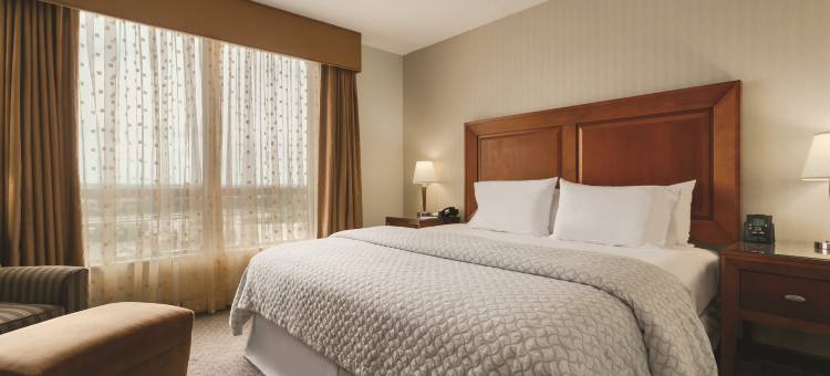 杜勒斯北劳登希尔顿安泊酒店(Embassy Suites by Hilton Dulles North Loudoun)图片