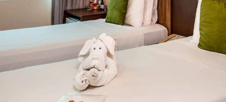 马塞约帕尤卡拉美居酒店(Mercure Maceio Pajucara)图片