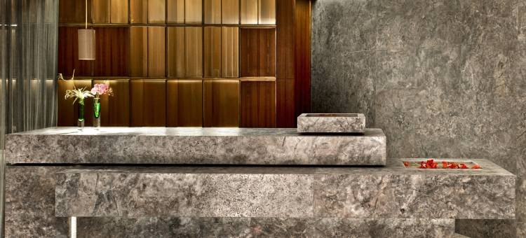 伊斯坦布尔瑞吉酒店(The St. Regis Istanbul)图片