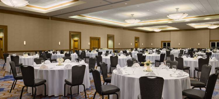 奥斯汀多门威斯汀酒店(The Westin Austin at the Domain)图片