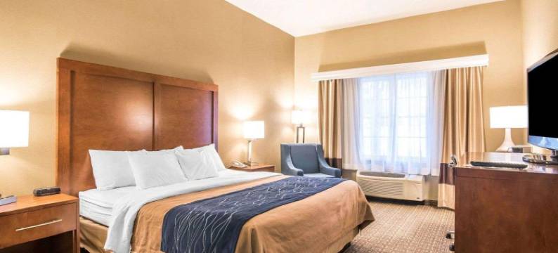 多佛尔-朴茨茅夫舒适套房酒店(Comfort Inn & Suites Dover-Portsmouth)图片