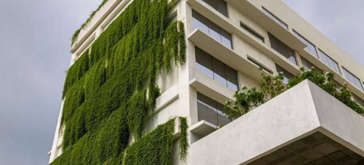 班加罗尔绿园酒店(Greenpark Bengaluru)图片