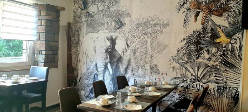 迪巴赫酒店(Hôtel Deybach)图片