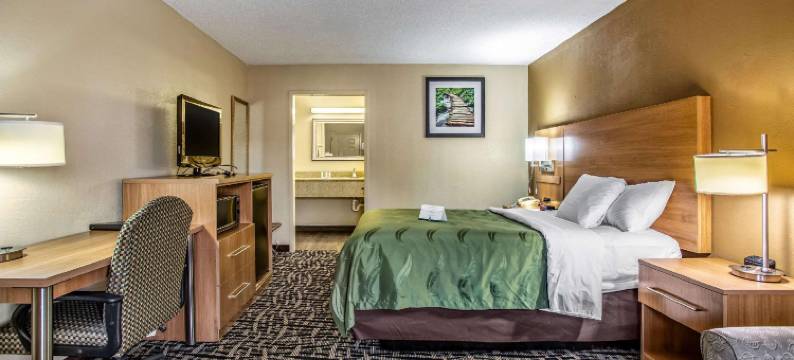 品质酒店南博林格林(Quality Inn)图片