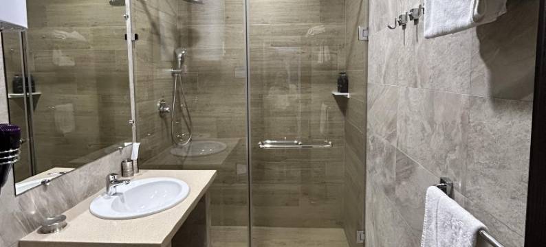 福克斯酒店(Fox Hotel)图片