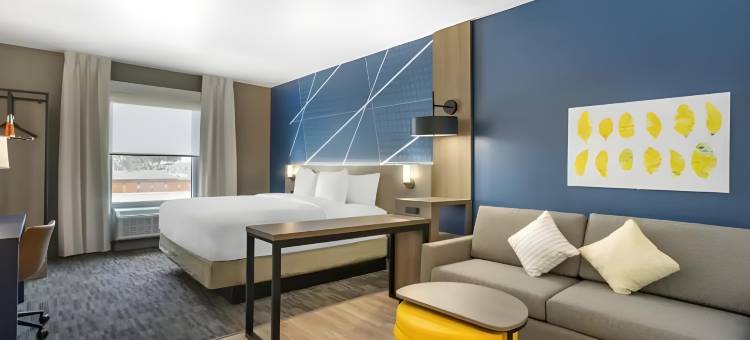 新港锐西市区的英特集团舒适酒店(Comfort Inn & Suites New Port Richey Downtown District)图片
