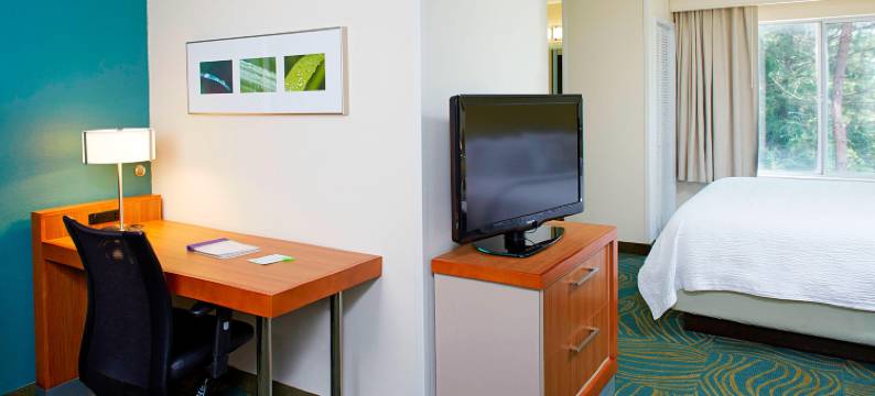 亚特兰大六旗游乐园万豪SpringHill酒店(SpringHill Suites Atlanta Six Flags)图片