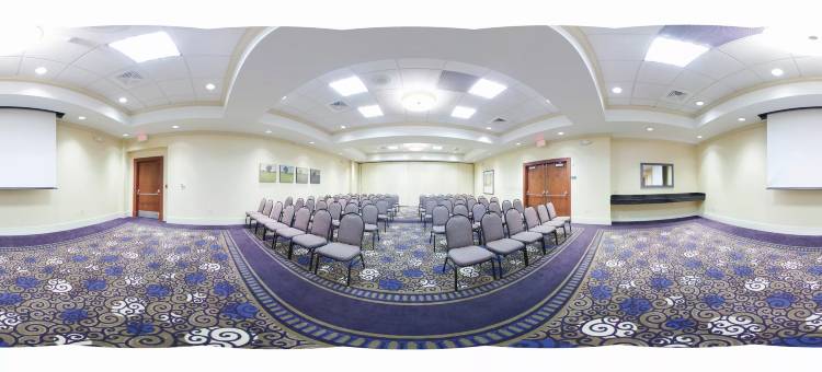 Holiday Inn 格威内特中心(Holiday Inn Atlanta-Gas South Arena Area)图片