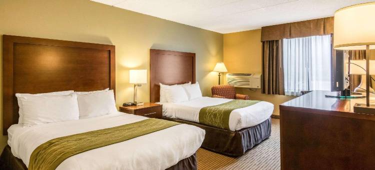 普利茅斯-明尼阿波利斯舒适酒店(Comfort Inn Plymouth-Minneapolis)图片