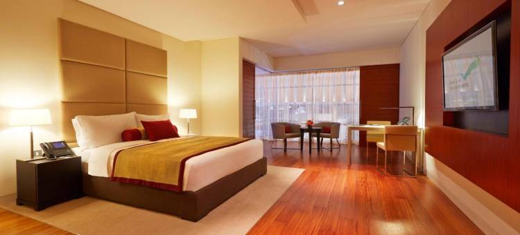 羚羊机场酒店-仅限转机(Oryx Airport Hotel -Transit Only)图片