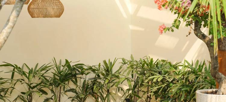 拉维拉斯日惹(Lavillas Jogja)图片