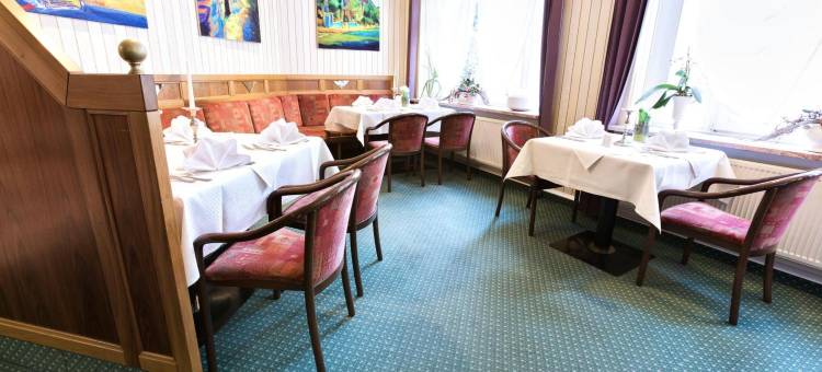 米拉尼公园酒店(Parkhotel Meerane)图片