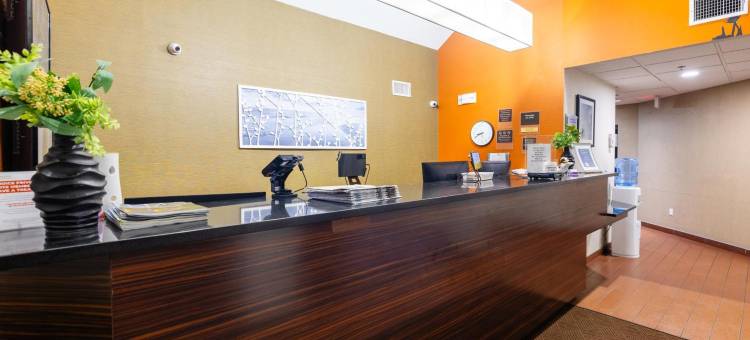 奥蒙德海滩舒眠酒店 - 代托纳(Sleep Inn Ormond Beach - Daytona)图片