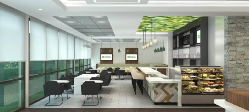 罗德岱堡机场及游轮港口温德姆花园酒店(Wyndham Garden Ft Lauderdale Airport & Cruise Port)图片