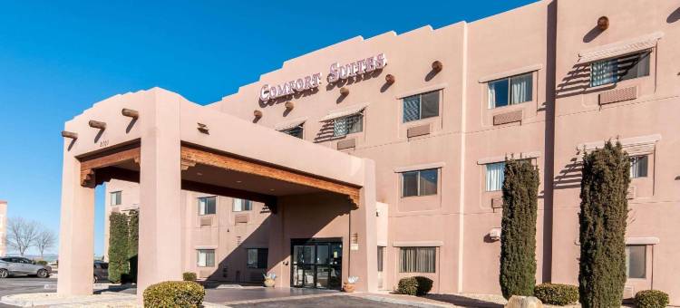 拉斯克鲁塞斯综合康福特套房套房(Comfort Suites University)图片